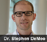 Image of Dr. Stephen D. Demeo, DO