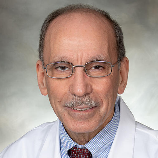 Image of Dr. Abdel H. Kasmia, MD
